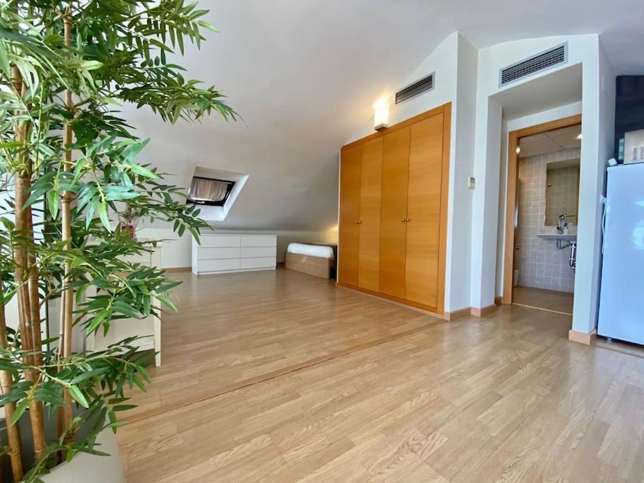 Exclusive Beachfront Penthouse 阿尔马亚特阿尔托 外观 照片